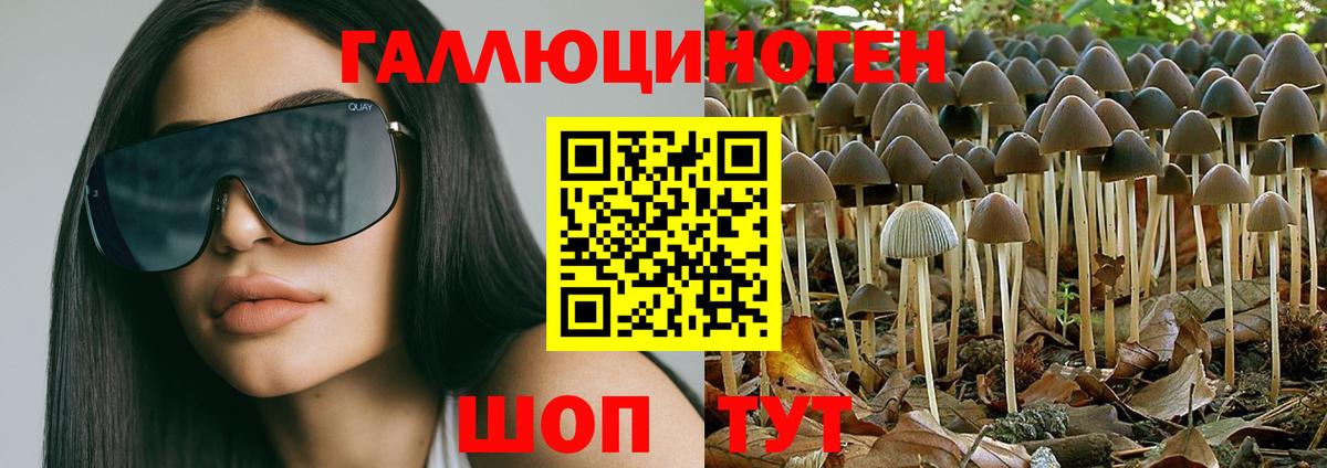 Галлюциногенные грибы GOLDEN TEACHER Балахна