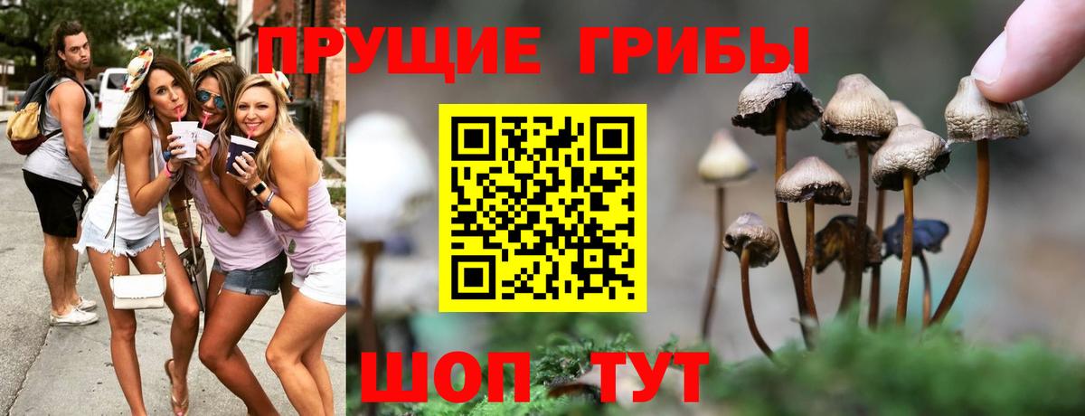 Псилоцибиновые грибы Magic Shrooms  Балахна 